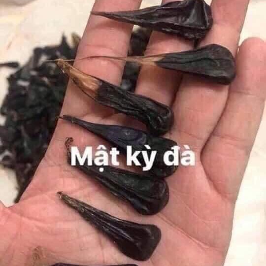 Mật kì đà khô (1cái)