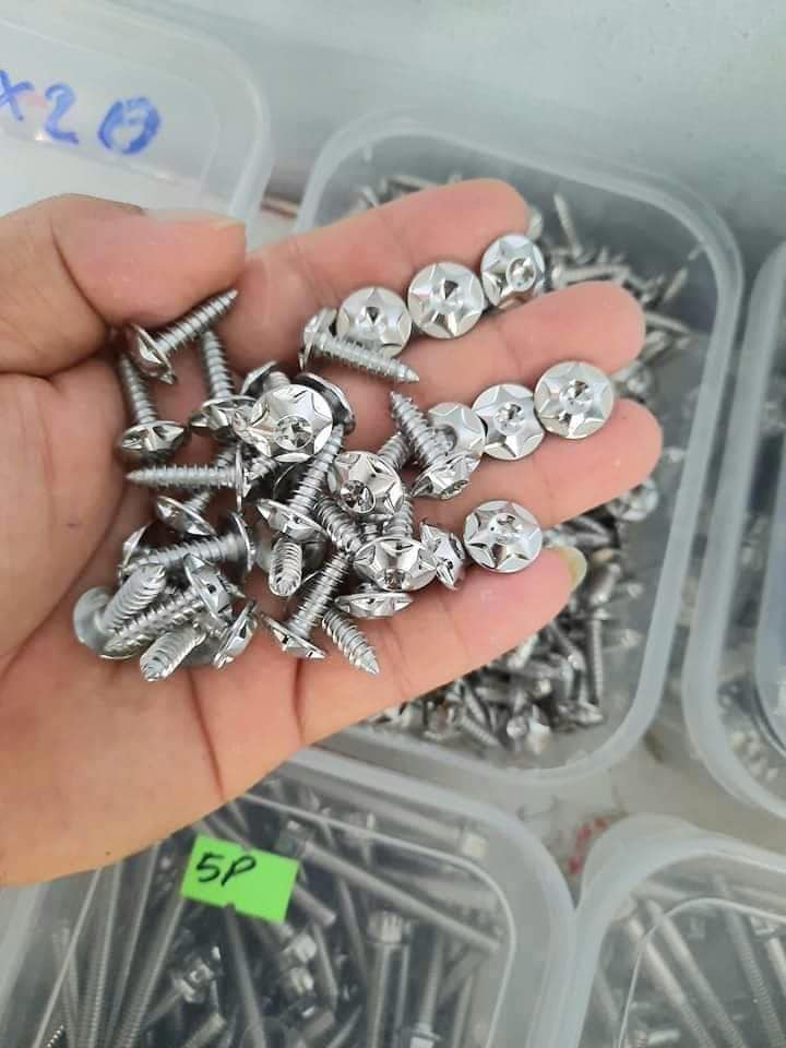 Ốc Áo Salaya Raider Xăng Cơ (31 con)