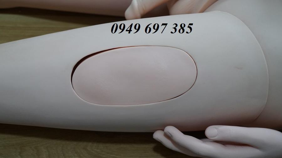 Mô hình thực hành điều dưỡng chăm sóc bệnh nhân