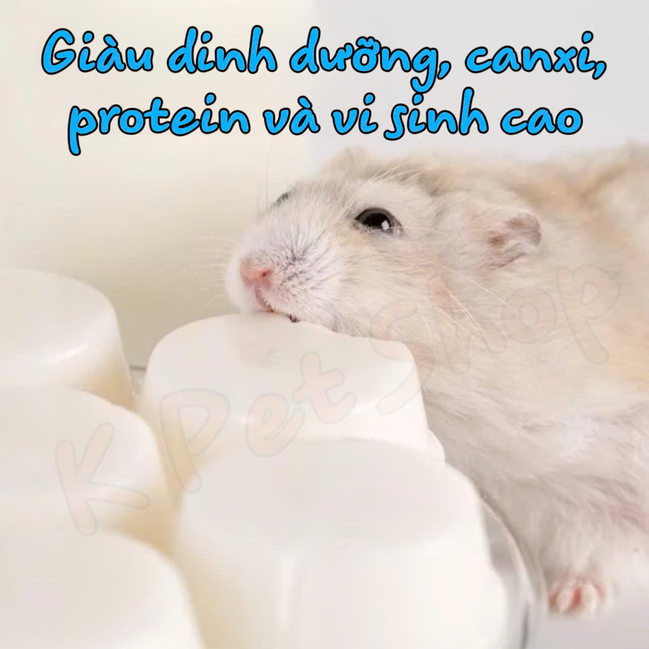 Pudding Sữa Dê Bucatstate Vỗ Béo Hamster 🐹FREESHIP Pudding Goat Milk Ăn Dặm Hamster, Sóc Bay, Sóc, Nhím.