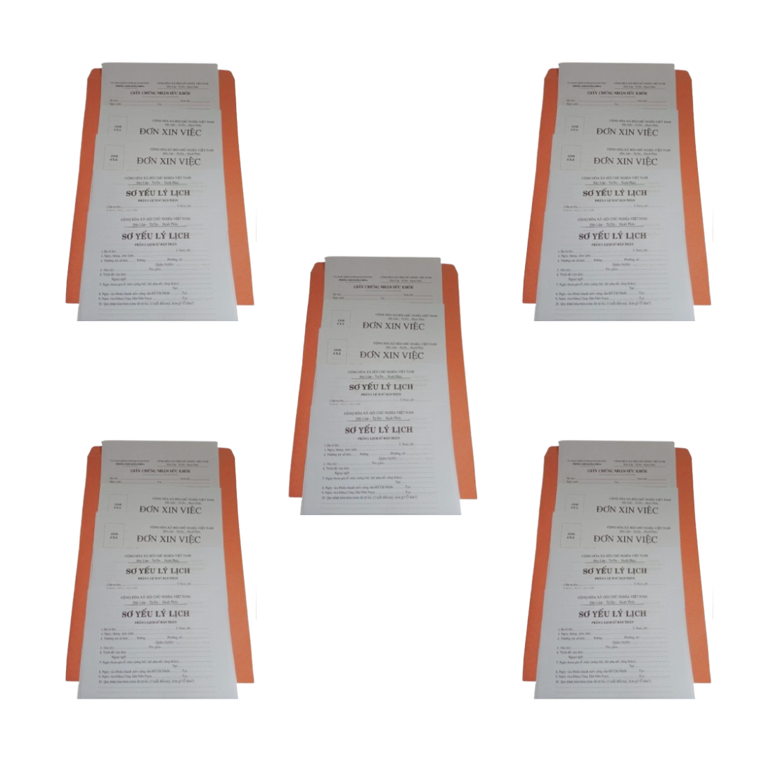 Bộ hồ sơ xin việc đủ giấy tờ 2 đơn xin việc + 2 sơ yếu lý lịch + 1 giấy chứng nhận sức khỏe