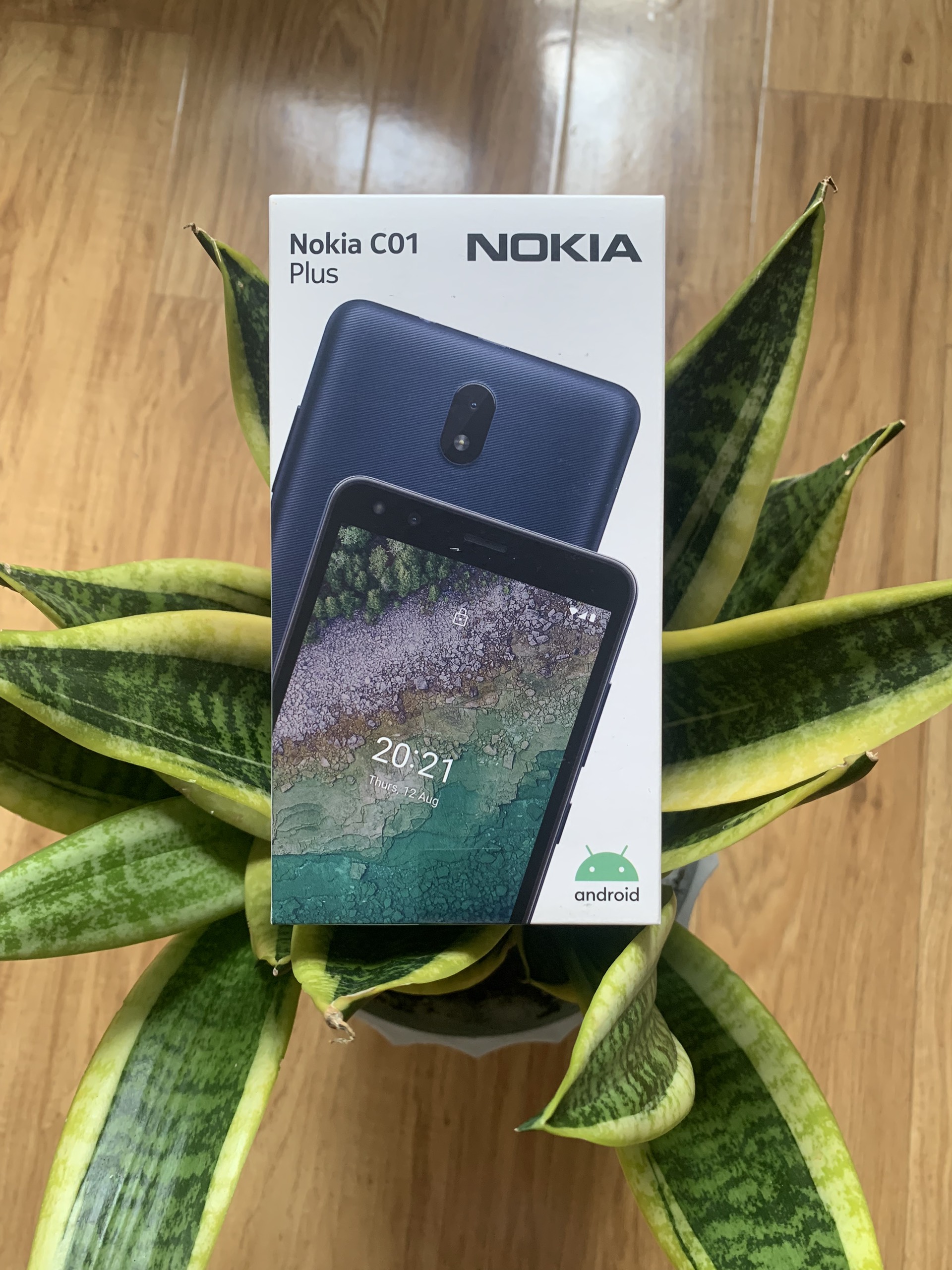 Nokia C01 Plus (2GB|16GB)
