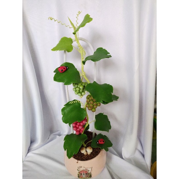 Chậu nho đất sét cao 42cm