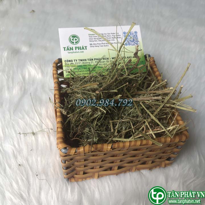 [Large Bag of 500 Grams] Dried Diep Ha Chau - Ton Phat - High Quality First Class Product