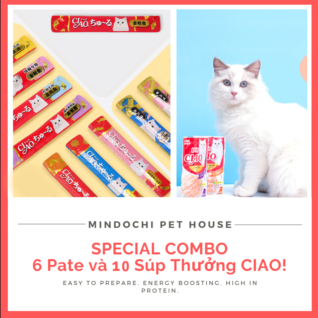 Combo Đặc Biệt - Pate và Súp Thưởng CIAO Mix Vị Cho Mèo
