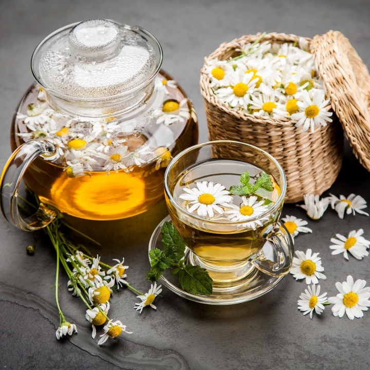 Hạt giống cúc trà chamomile 216