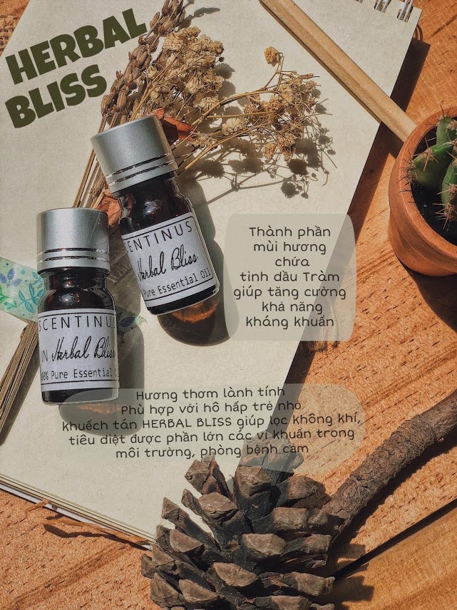 TINH DẦU IN HERBAL BLISS