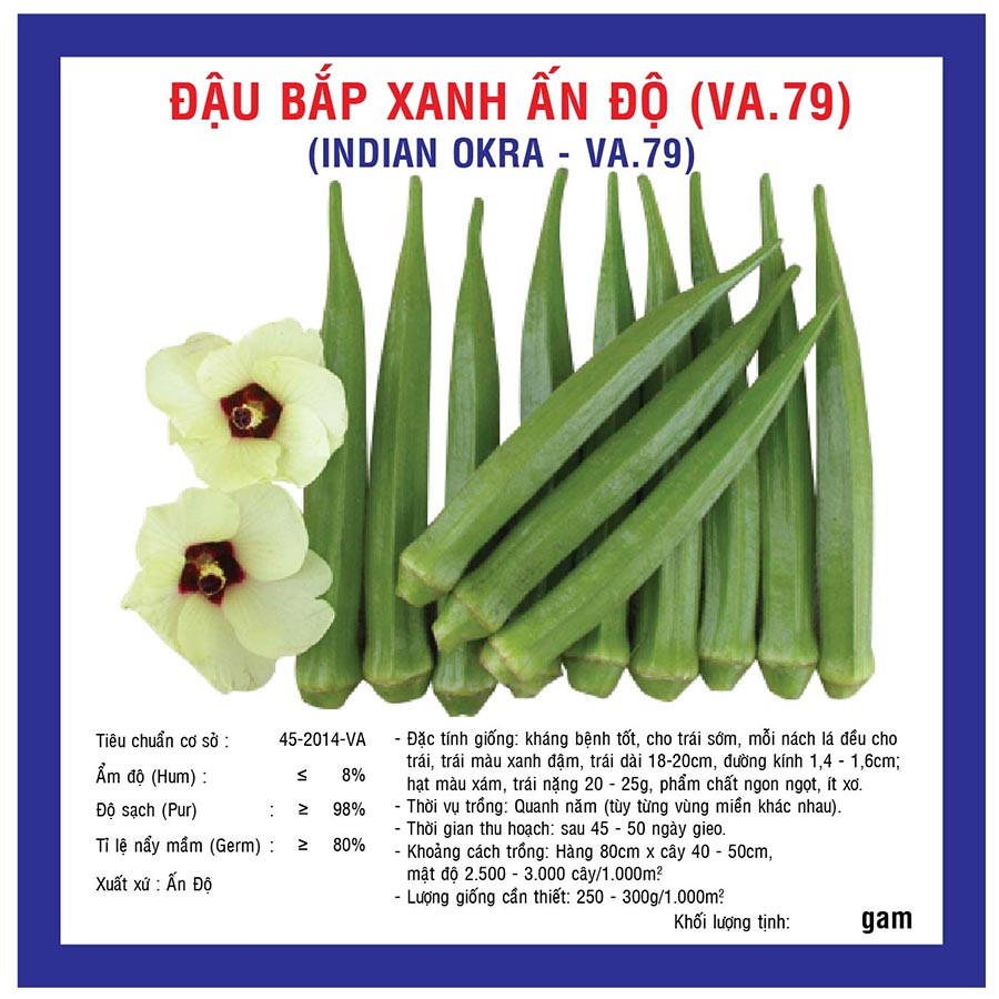 Hạt giống đậu bắp xanh Ấn Độ 20g/gói ( trái xanh đậm ) năng suất cao giá rẻ
