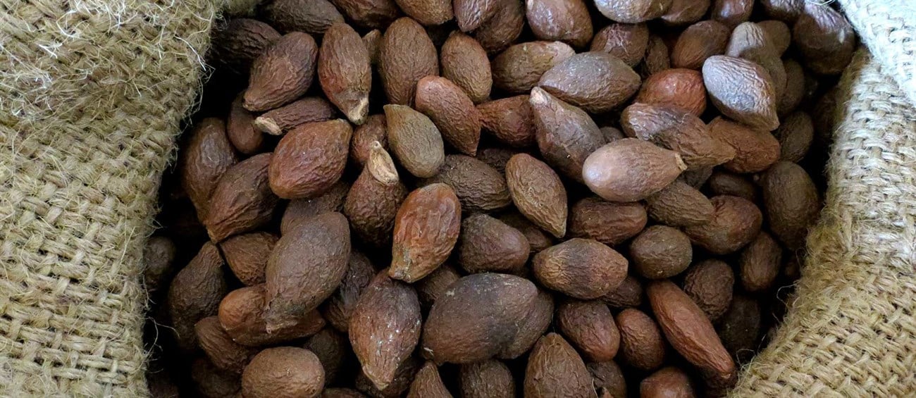 🌰 HẠT ĐƯỜI ƯƠI (📌bịch zip hút chân không 250g) 🌰