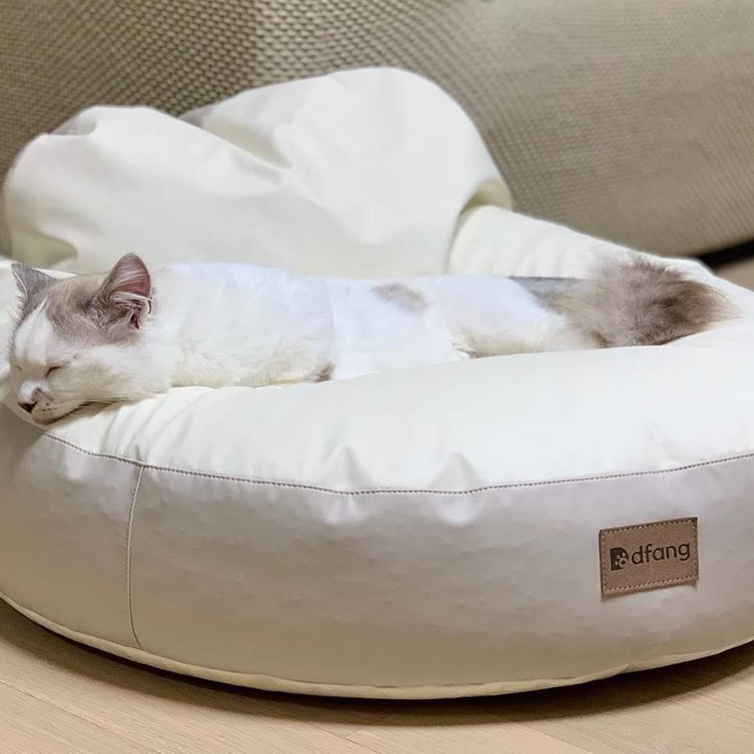 NIỆM NGỦ CHO THÚ CƯNG - Bean bags M & L