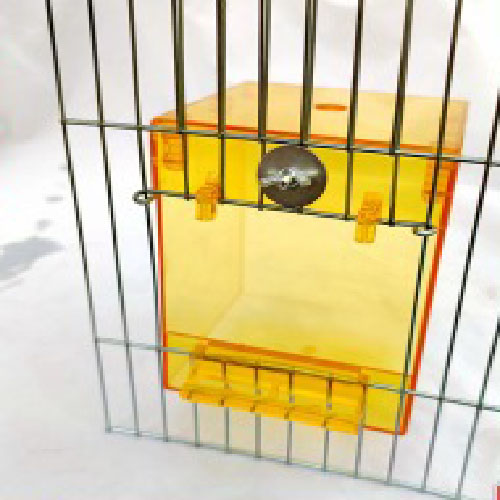 Hộp tắm cao cấp cho chim vẹt