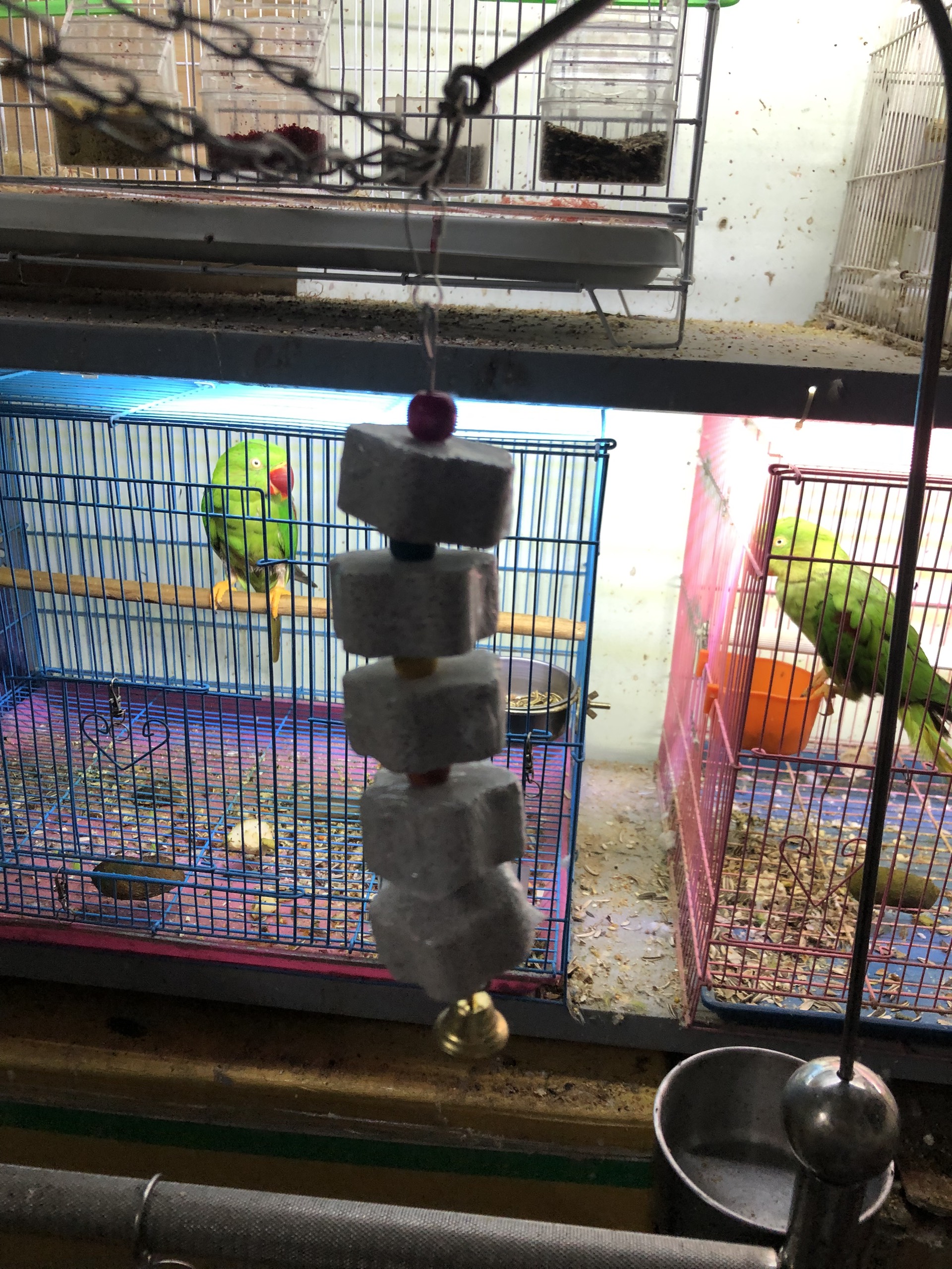 4 viên đá mài mỏ vẹt, hamster, sóc