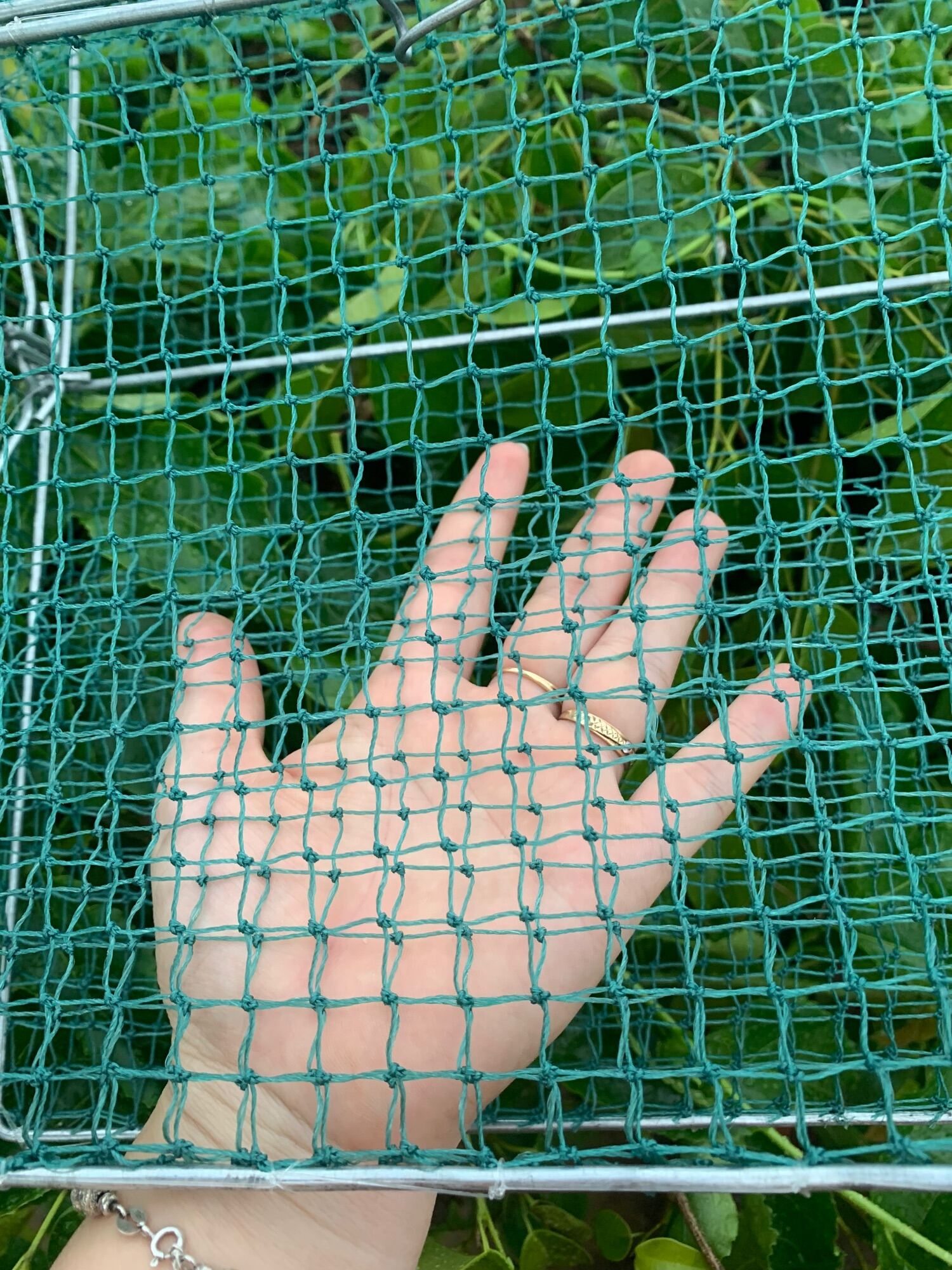 [Tặng Mồi ] Lồng bẫy cua hiệu quả