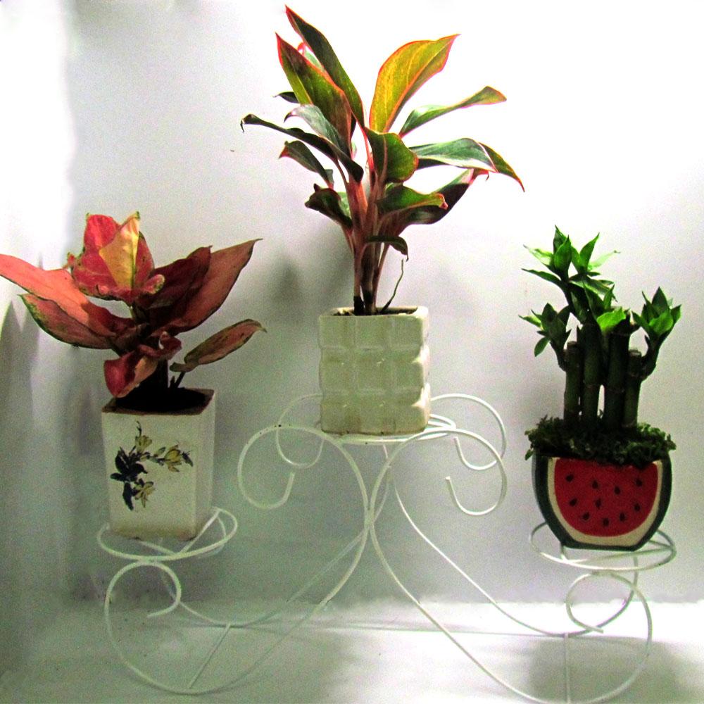Kệ - Gía đỡ chậu hoa mini