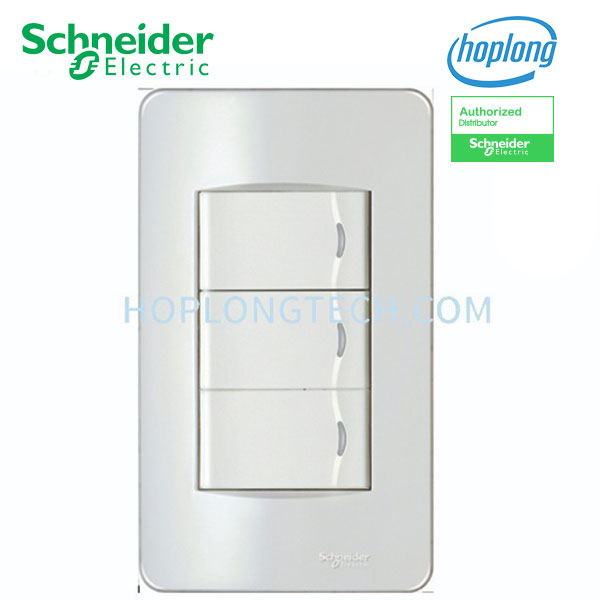 Mặt cho 2 và 3 thiết bị Schneider A3000_G19 A3002_G19