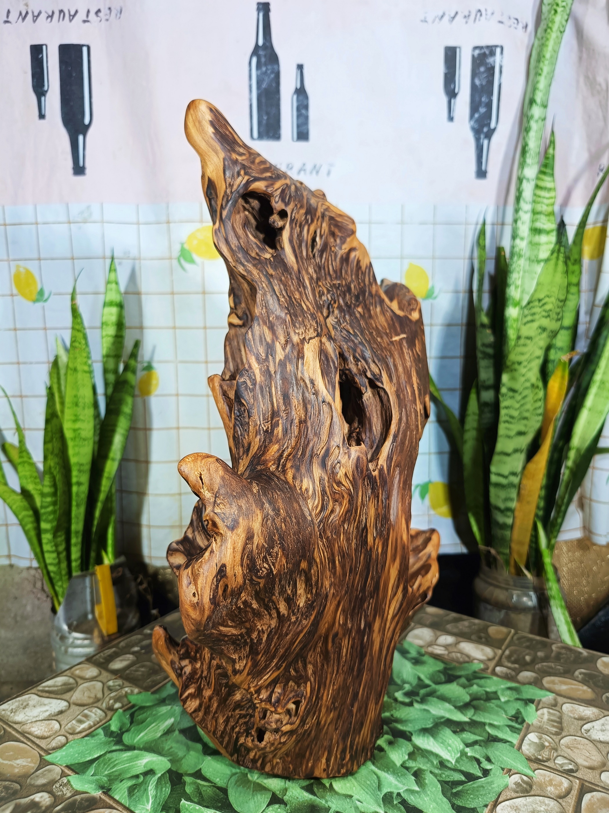 lũa gỗ thơm ngọc am đỏ hà giang