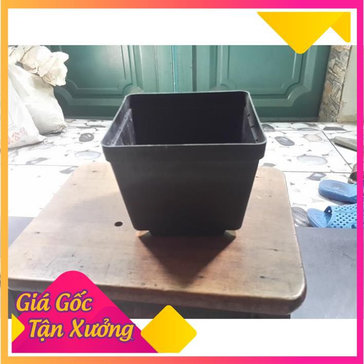 Khu vườn combo 10 chậu nhựa đen 10*10cm trồng rau củ quả .