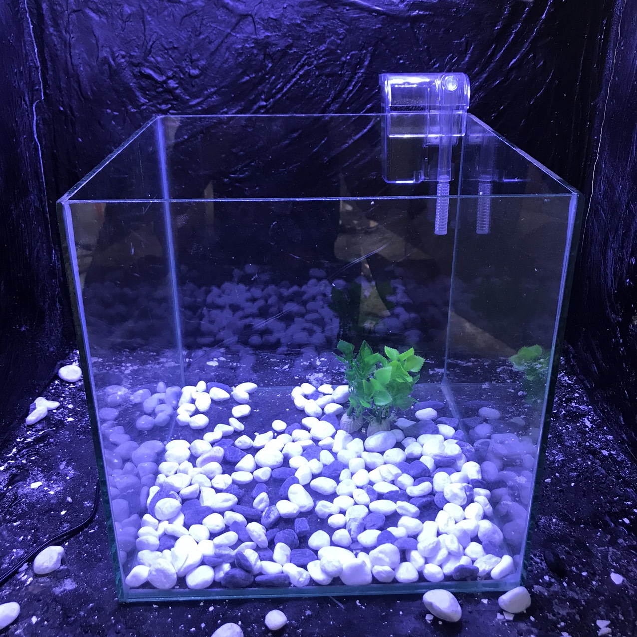 Bể cá mini CUBIC 25cm dành cho nuôi cá cảnh hồ thủy sinh