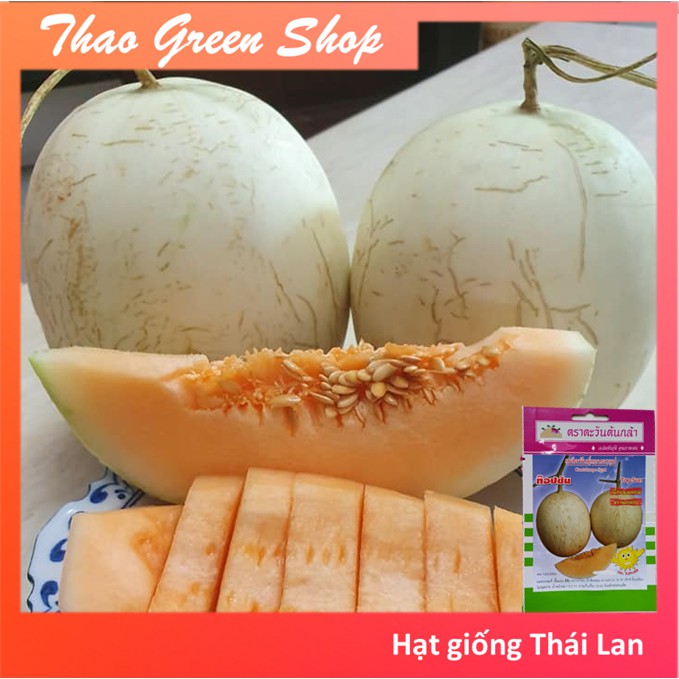 DƯA ĐỎ NỮ THẦN MẶT TRỜI (CANTALOUPE )