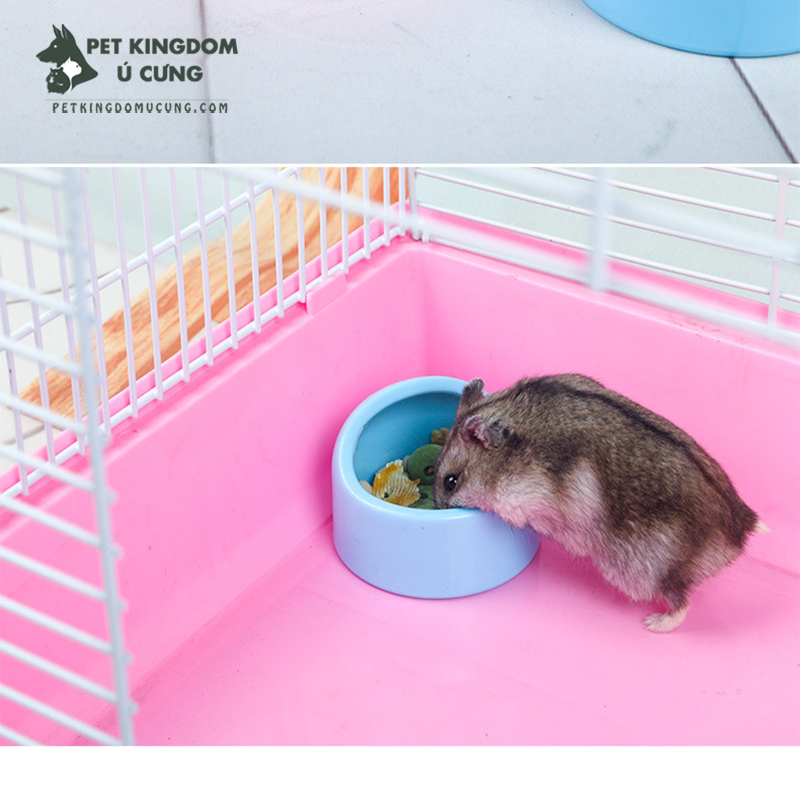 Bát ăn nhựa cho hamster nhiều loại