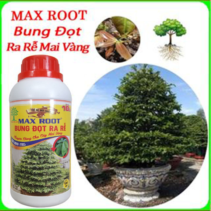 Max Root Bung Đọt Ra Rễ Mai Vàng ( 500ml )