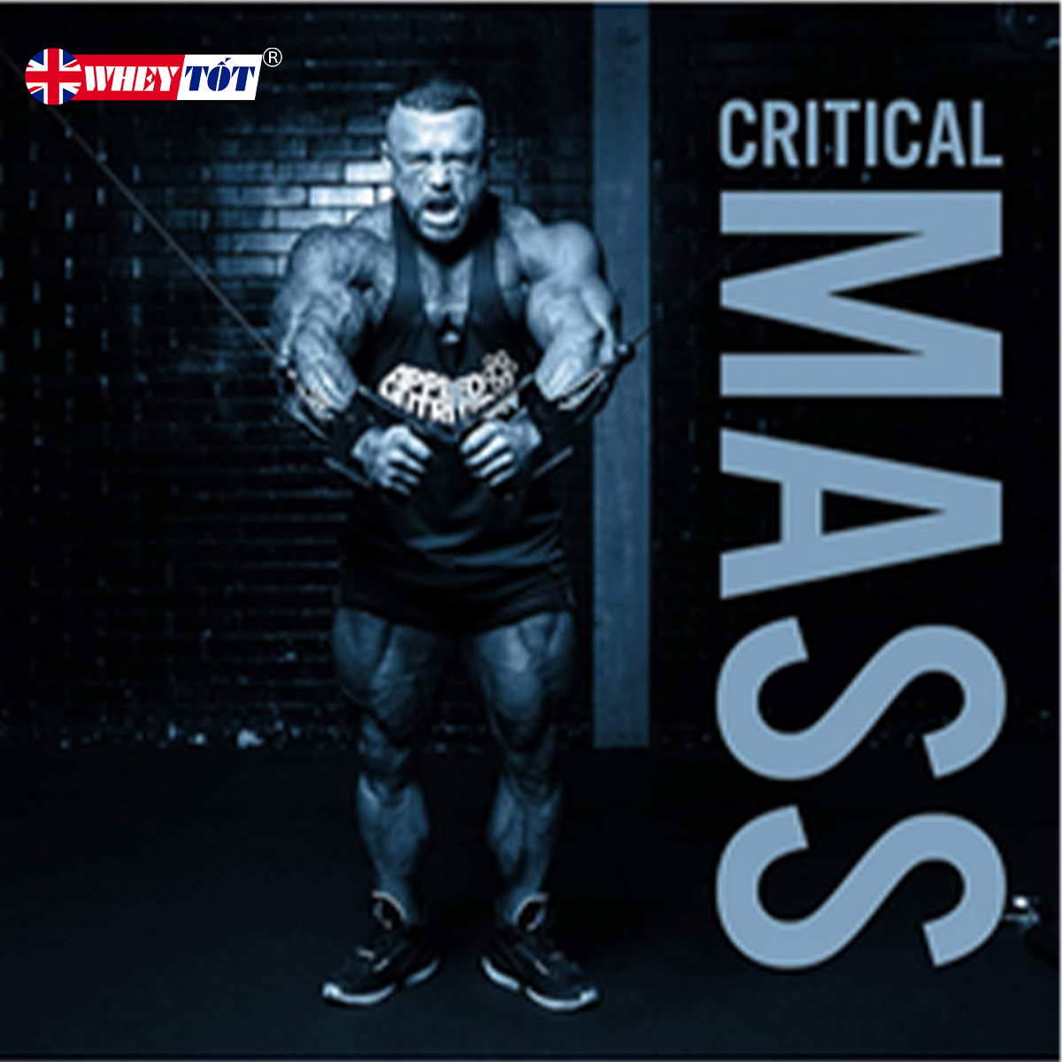 Tăng cân Applied Nutrition Professional Critical Mass 6Kg