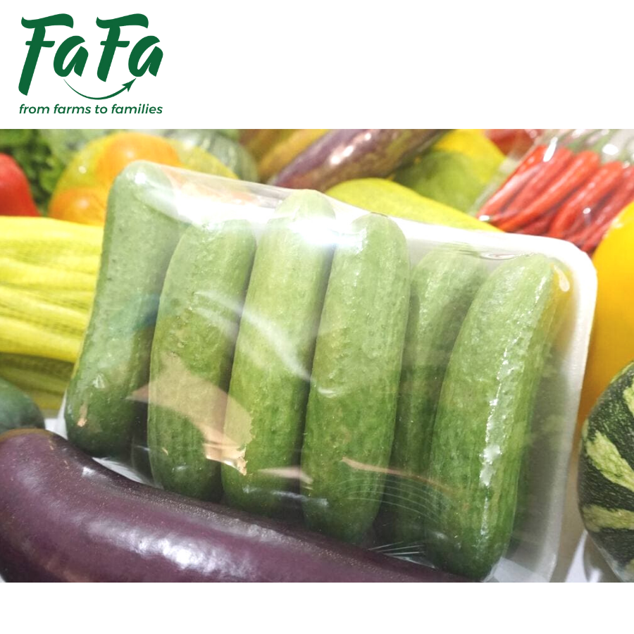 Dưa Leo FAFA 500gr/túi