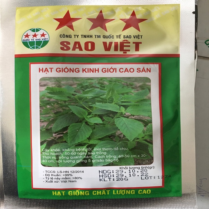 Hạt giống rau Kinh Giới cao sản