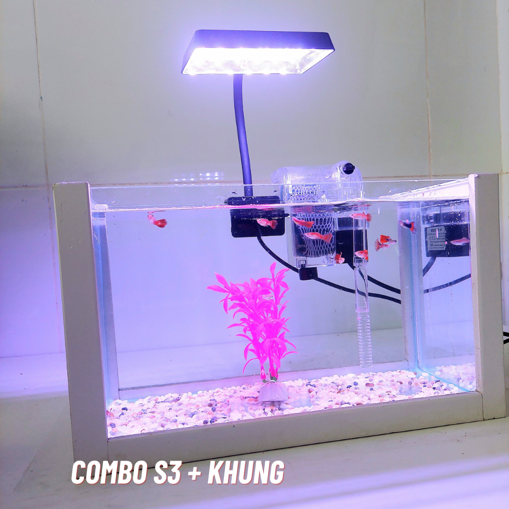 Bể cá mini 30cm COMBO đầy đủ phụ kiện