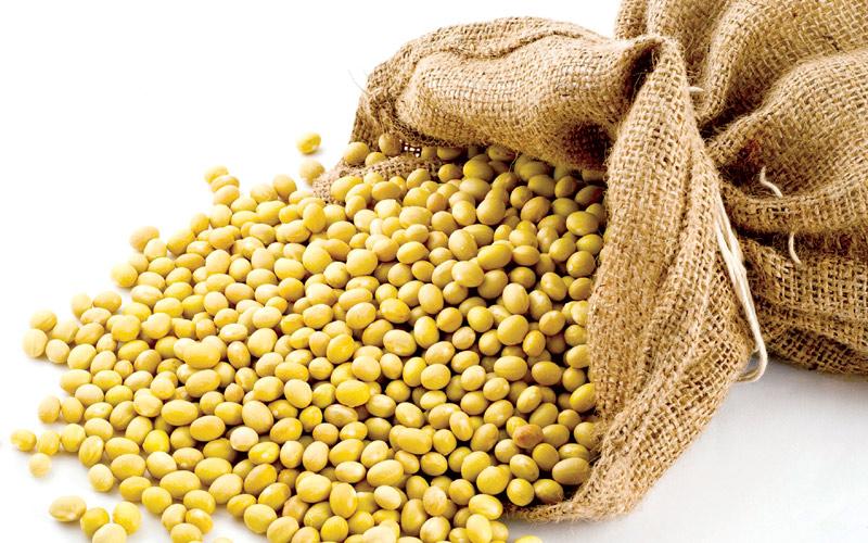 500G Đậu Nành Sấy Giòn