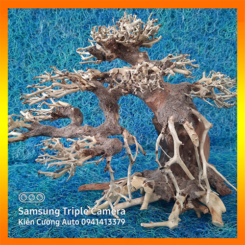 Cây gỗ lũa thủy sinh dùng cho bể cá cảnh, gỗ lúa cao cấp (Mẫu 1)