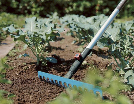 ĐẦU CÀO ĐẤT 16 RĂNG GARDENA 03179-20