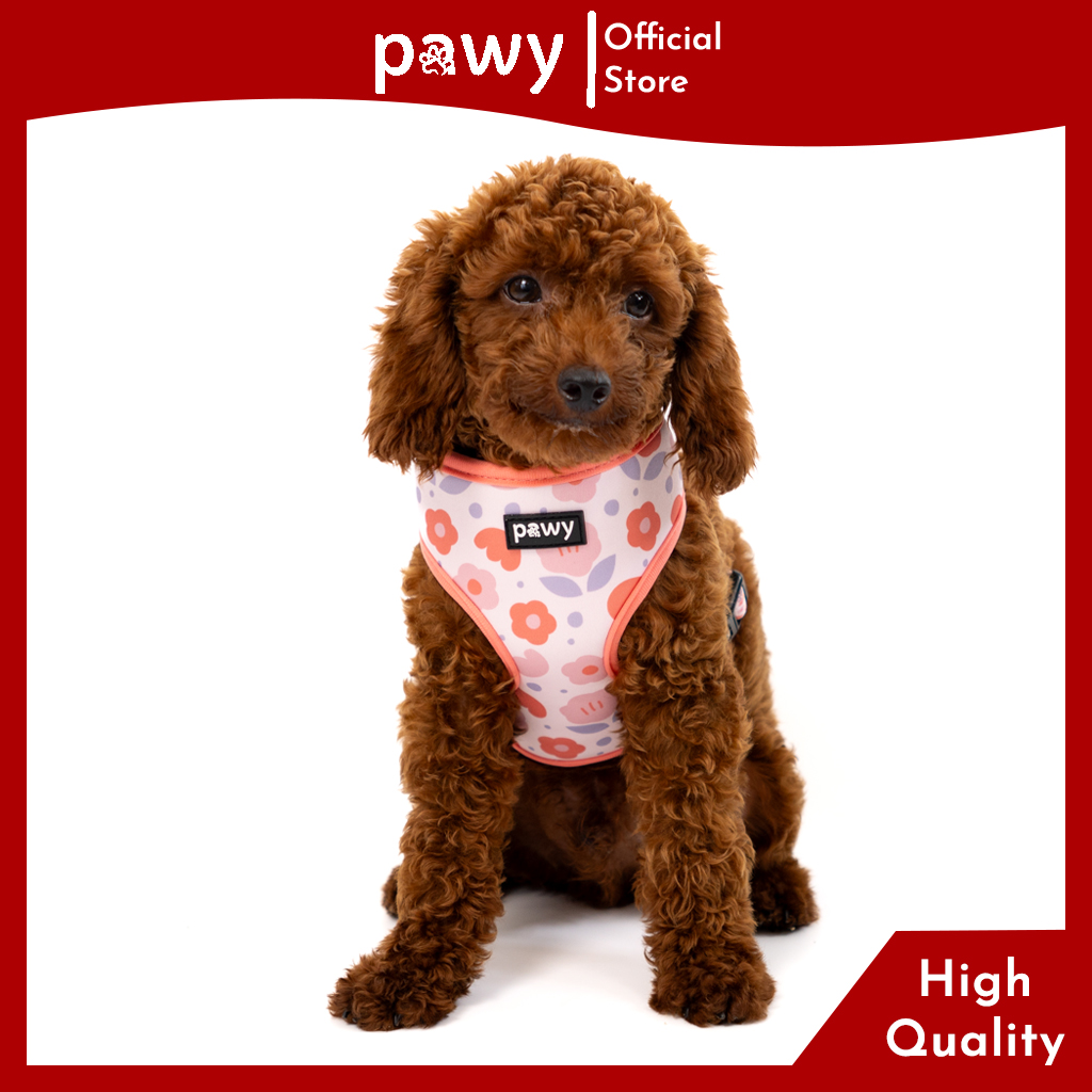 Yếm Dắt Chó Pawy 2 Mặt - Blooming Dalat - Dog Reversible Harness