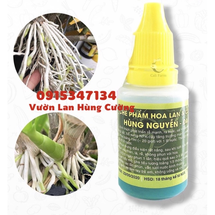 Chế phẩm hoa lan Hùng Nguyễn - 6 trong 1