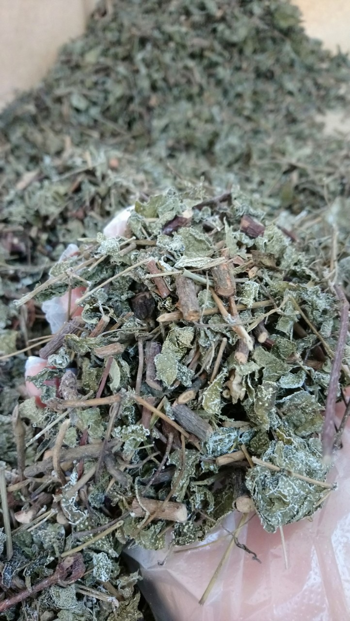 Trà túi lọc chè dây