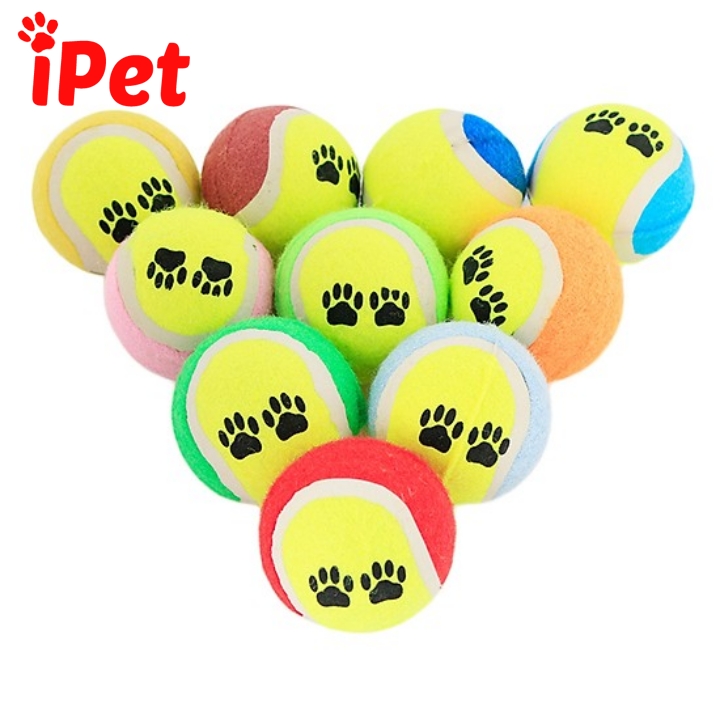 Bóng Tennis Chân Chó