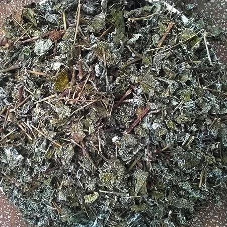 CHÈ DÂY - 1KG