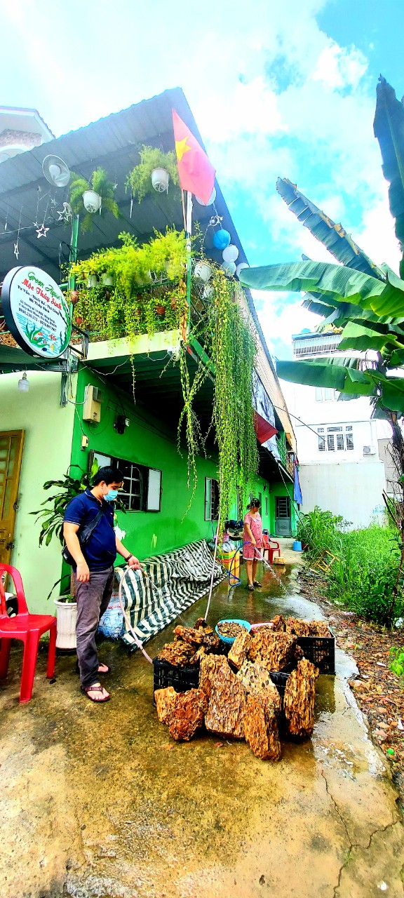 Đá Tiger - Đá Trang Trí Bể Thủy Sinh 1Kg