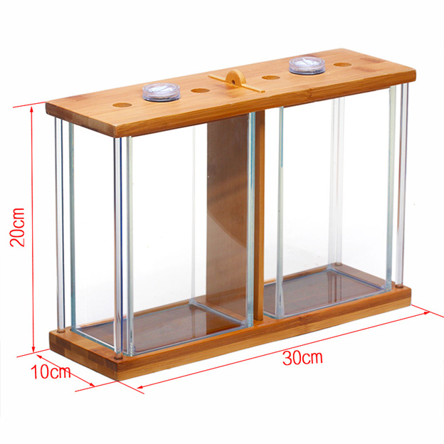 Bể cá chọi Betta đôi