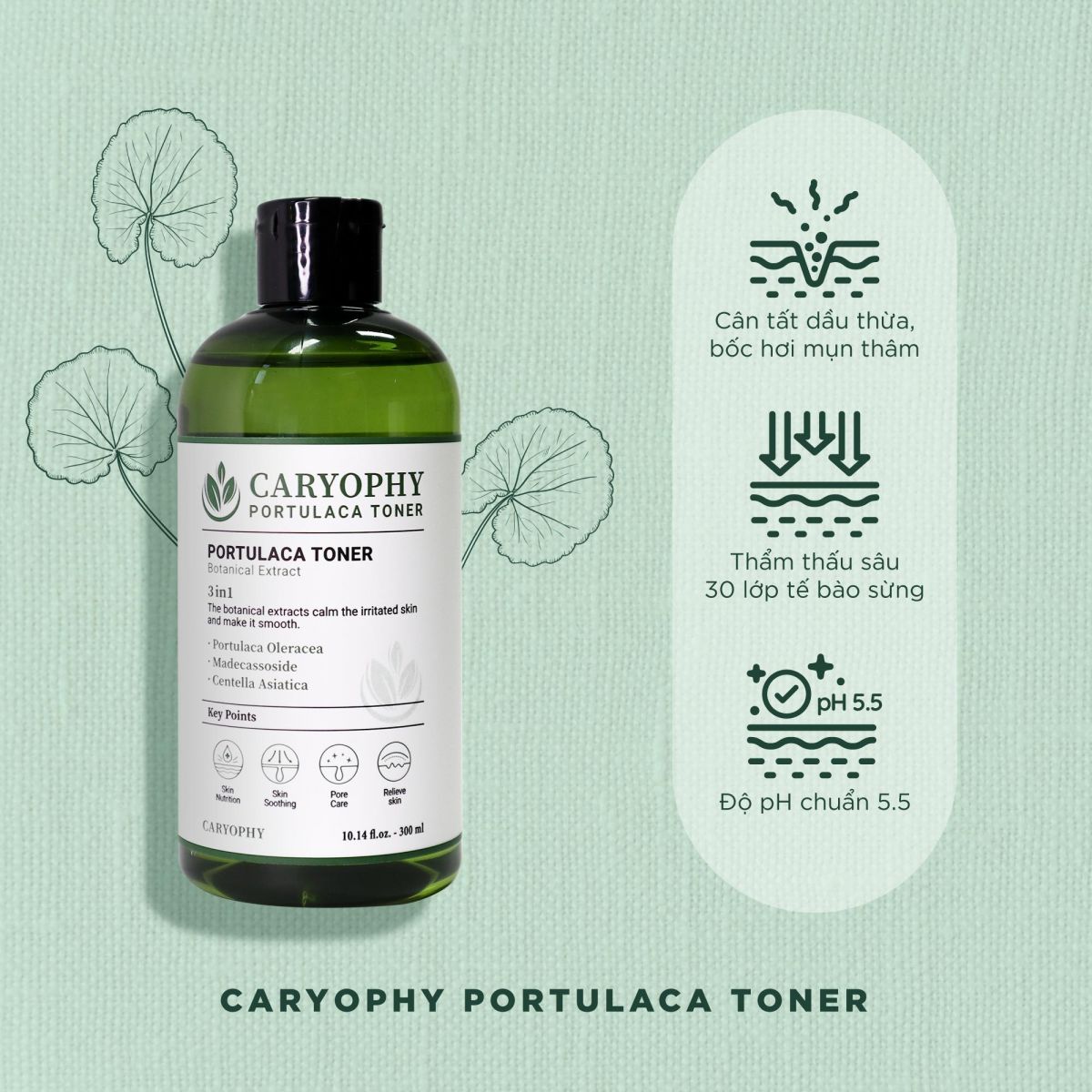 Nước Cân Bằng CARYOPHY Portulaca Tone Làm Dịu Da 300ml