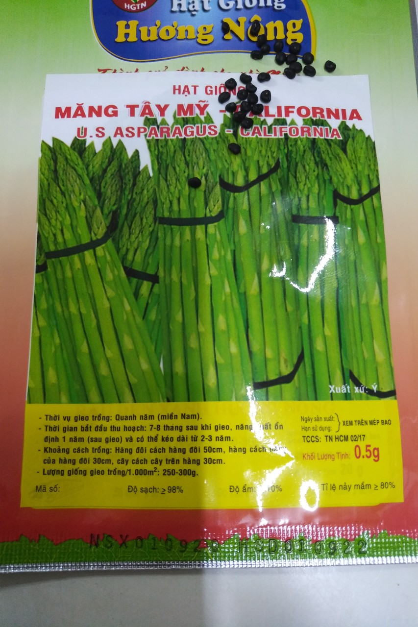 Hạt Măng Tây - Gói 10 Hạt