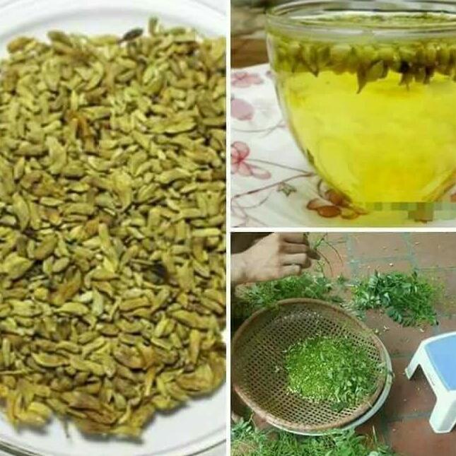 Hoa hòe 1kg
