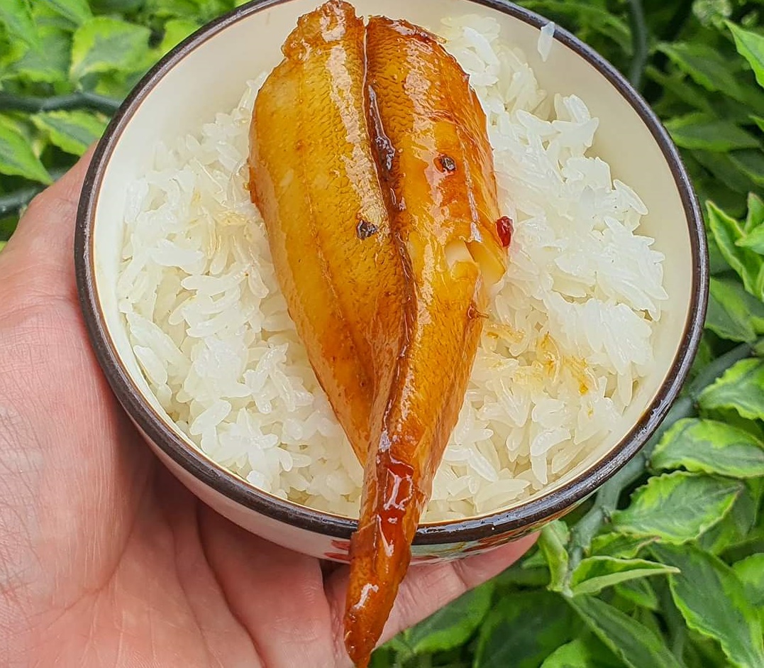1 KG Khô Cá Mối Nguyên Con, Sạch Ngon