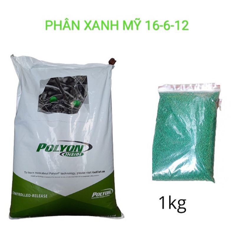 Phân tan Chậm Mỹ PoLyon hạt xanh - 16-6-12 (1kg)