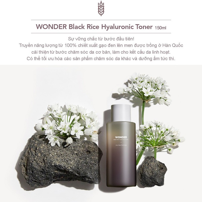 Set Nước hoa hồng Haruharu Wonder Black Rice Hyaluronic Toner