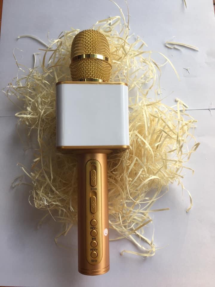 Mix Hát Karaoke không dây Kết Nối Bluetooth -SD08