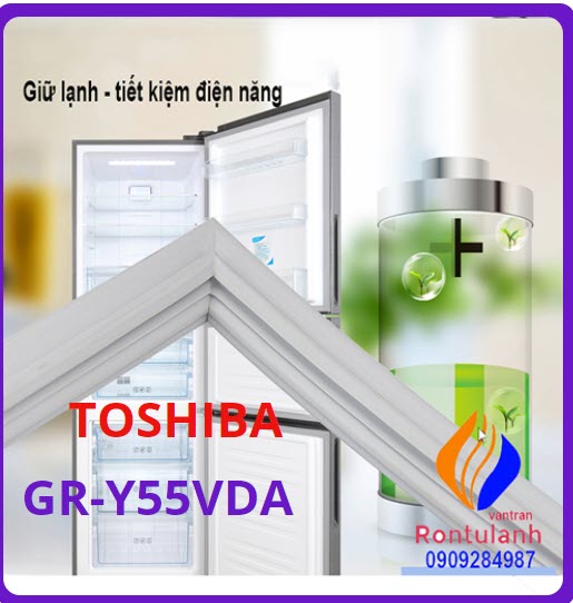 Ron cửa tủ lạnh Panasonic Model NR-BV329Q
