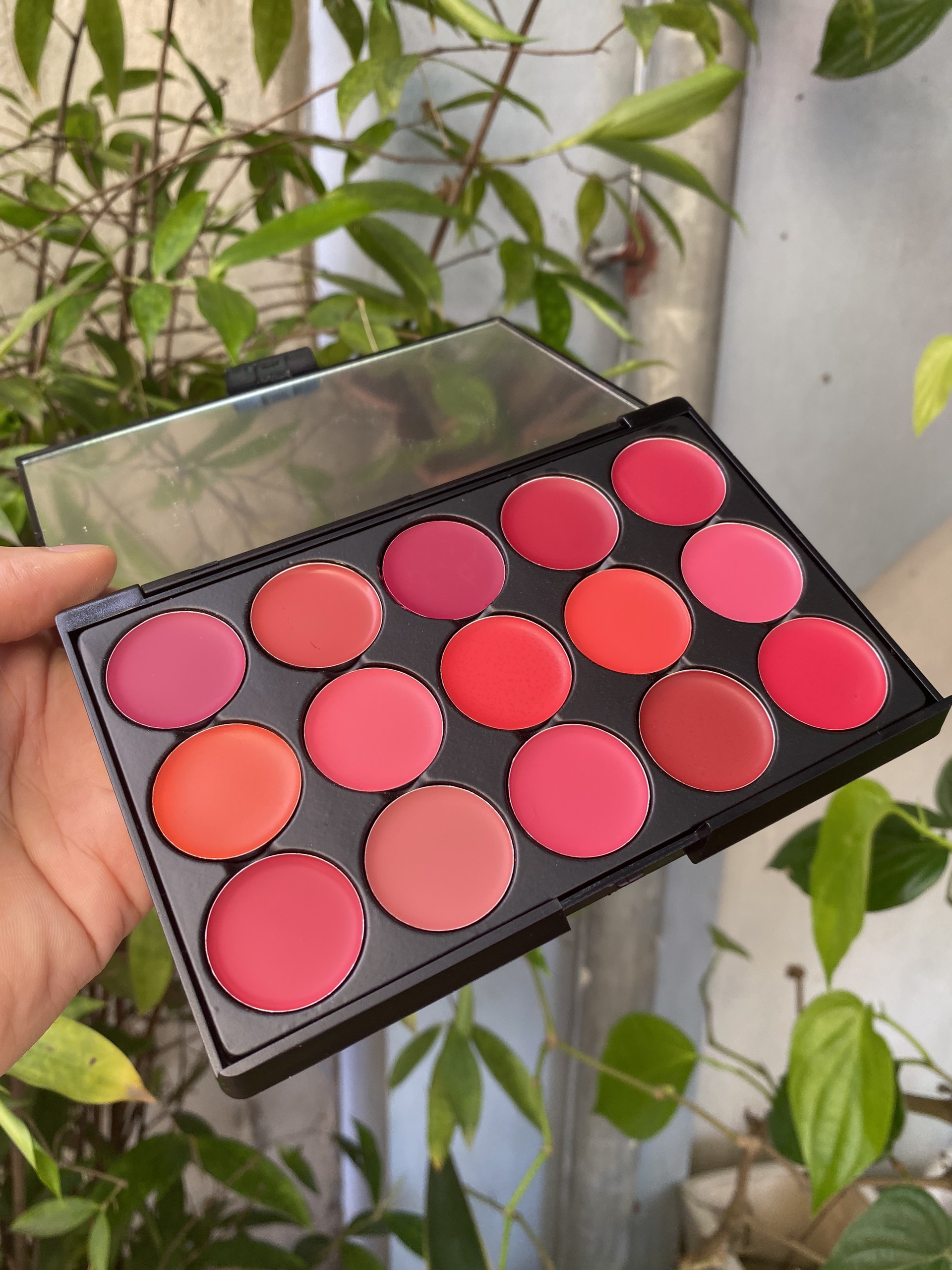 Bảng Son Lì Trang Điểm Miss Rose 15 ( nội địa Trung )