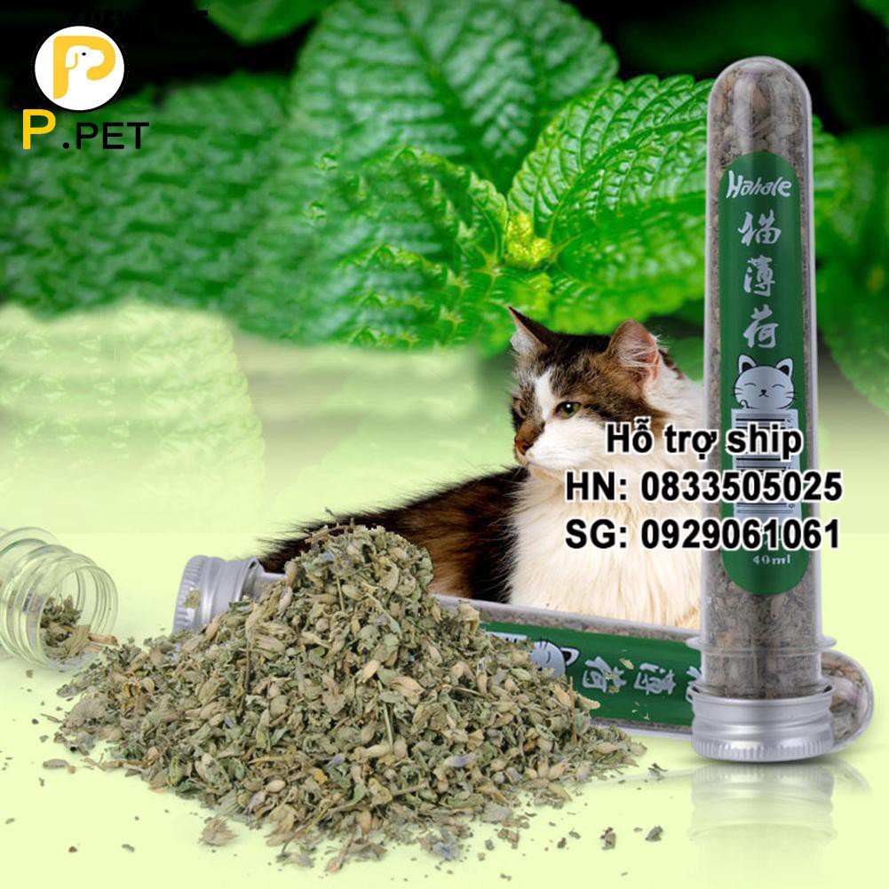 Hanpet - (Tuyp 40ml) Cỏ mèo ngửi Catnip cỏ bạc hà cho mèo ngửi là phê Chống búi lông tắc ruột trên mèo