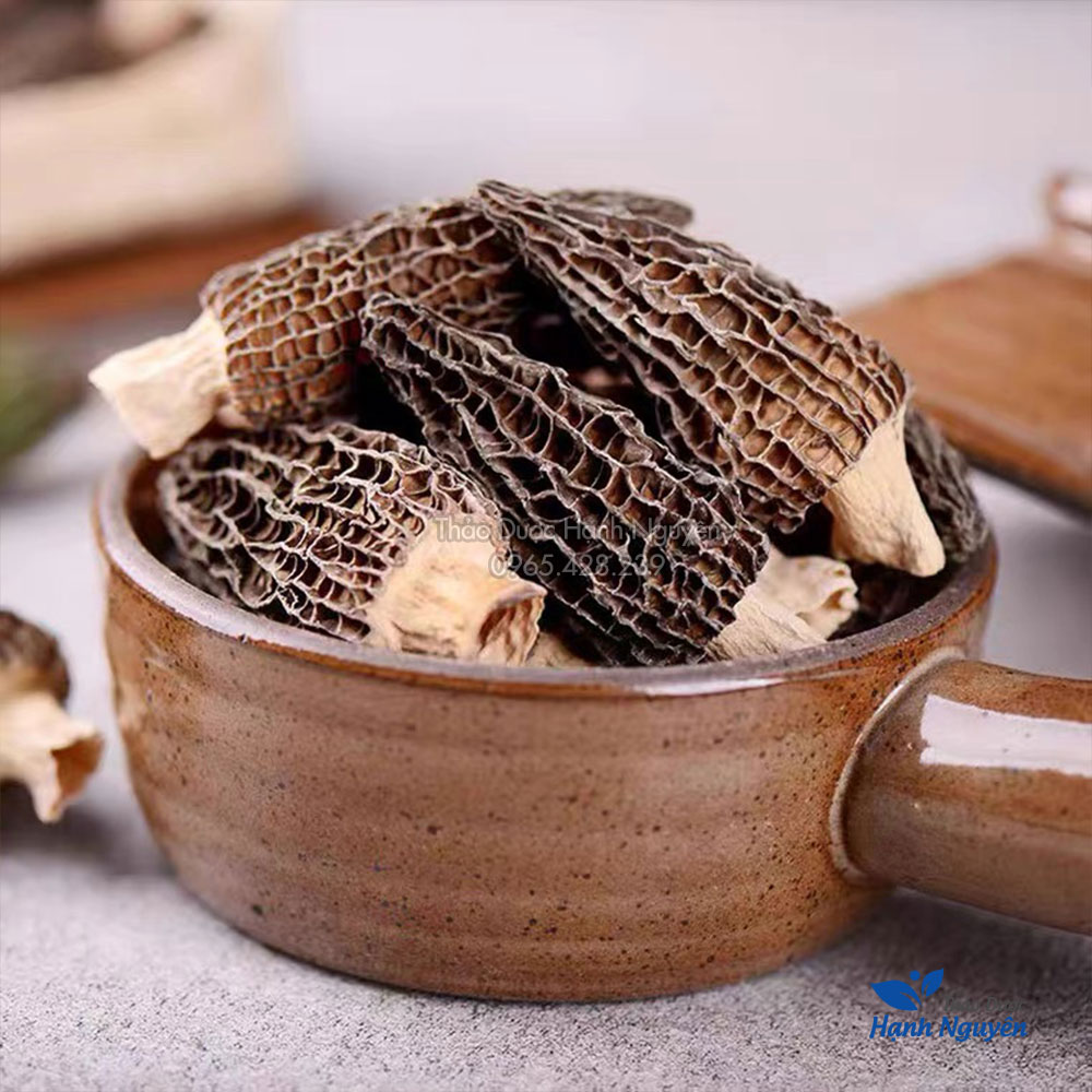 Nấm bụng dê 50g, nấm quý nấu canh, lẩu nấm, nấm dưỡng sinh, bổ dưỡng, tăng cường sức khỏe